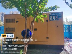 <b>常用荆门车展250KW康明斯柴油发电机组出租租赁厂</b>